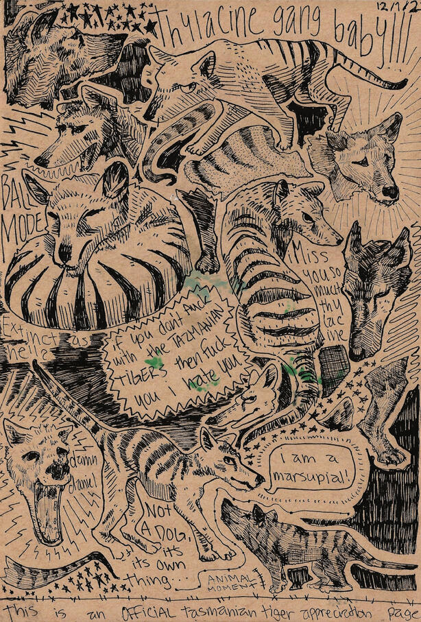 thylacine collection