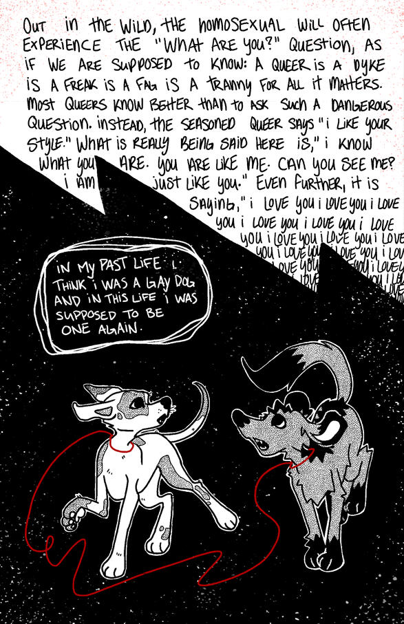 gaydogs